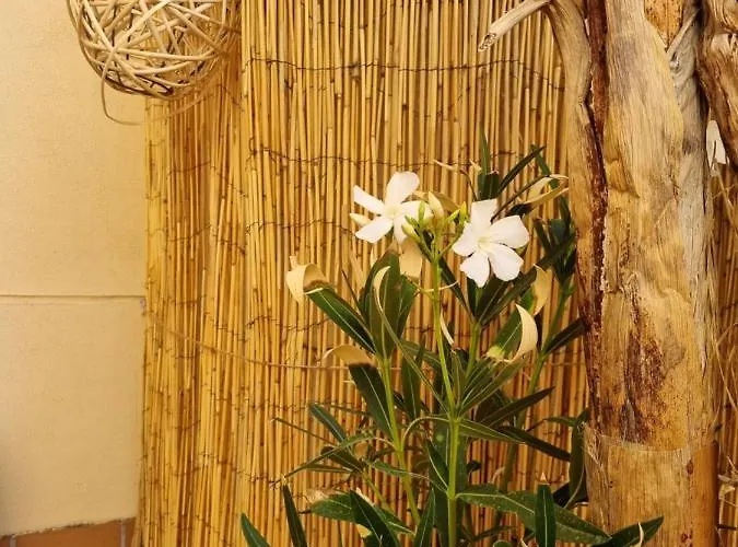 Appartement - Con Terraza A 1 Minuto De La Plaza Mayor *